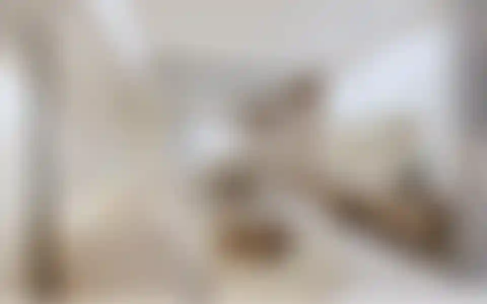 image for main block