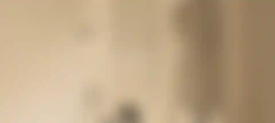 image for main block