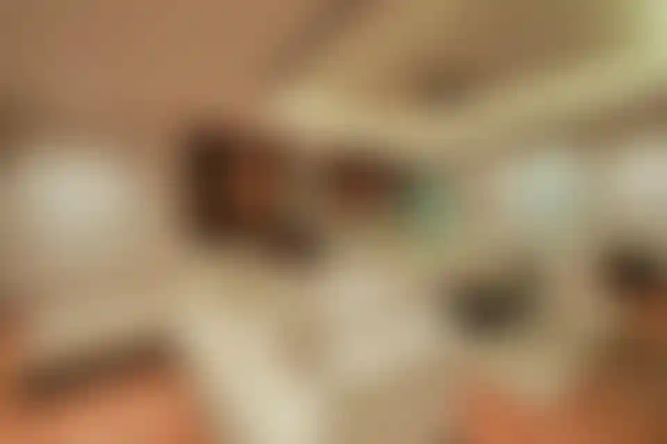 image for main block