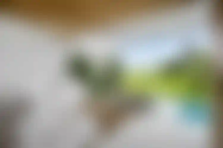 image for main block