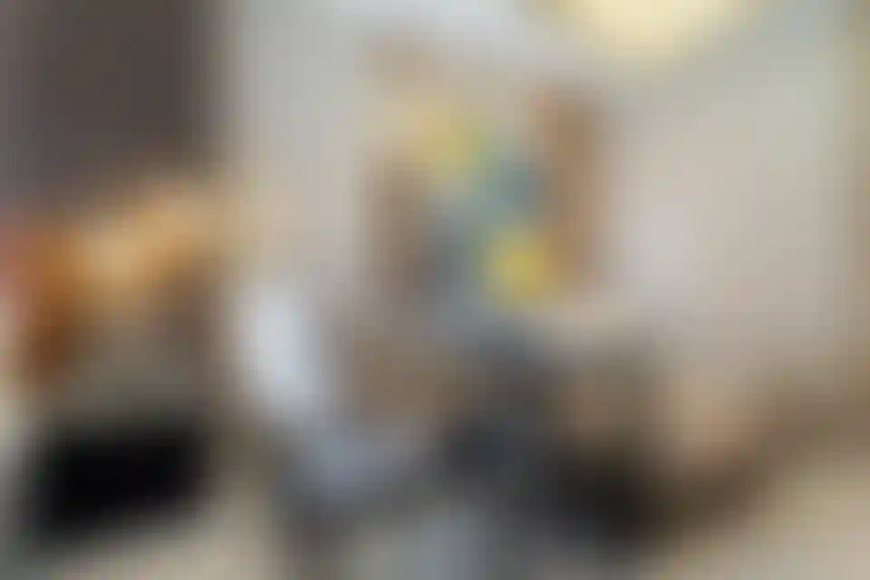 image for main block