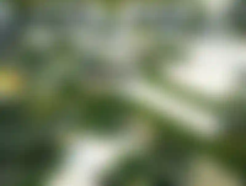 image for main block