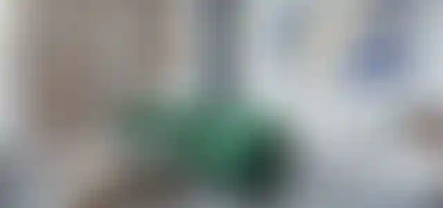 image for main block