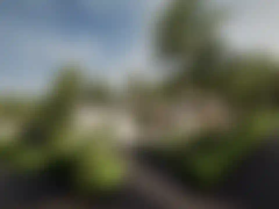 image for main block