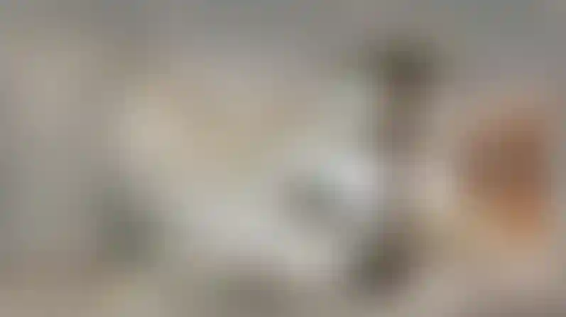 image for main block