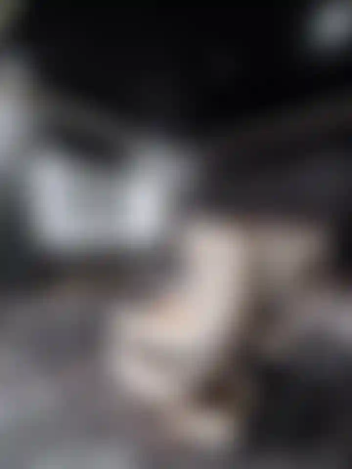 image for main block