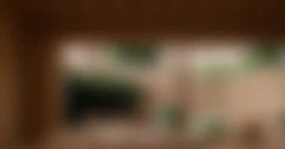 image for main block