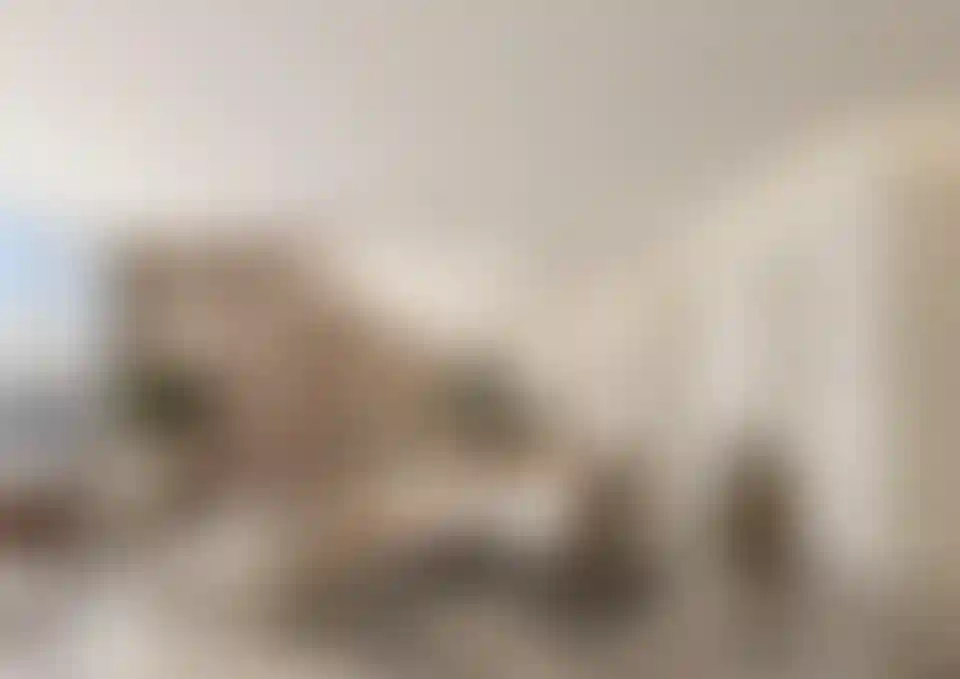 image for main block