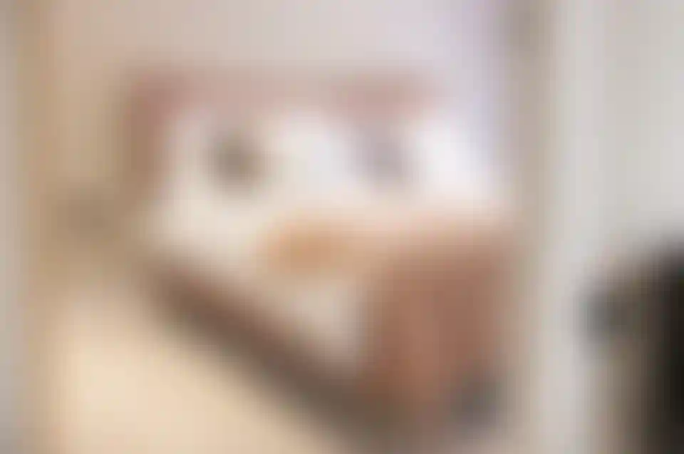 image for main block