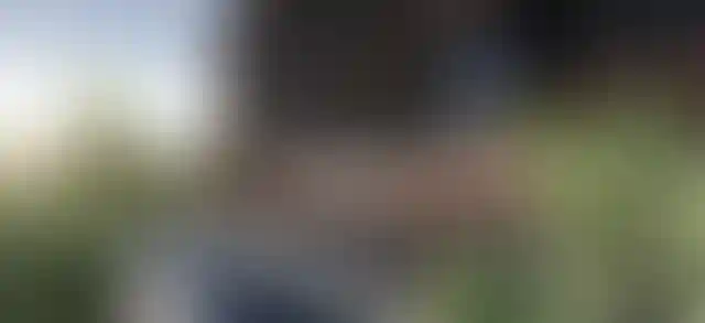 image for main block