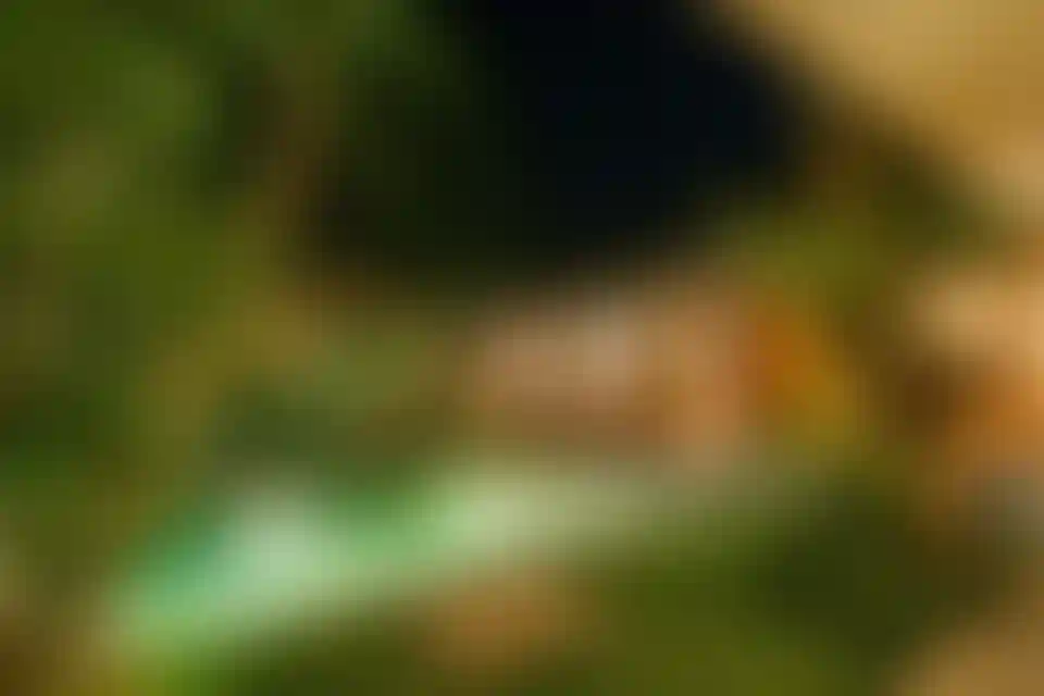 image for main block