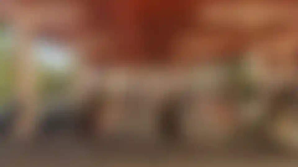 image for main block