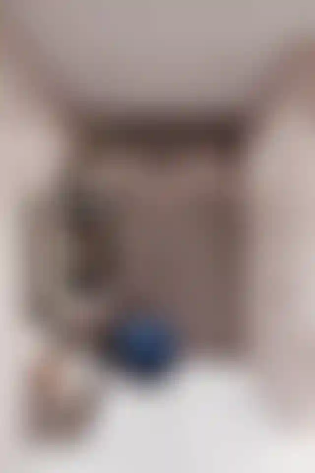 image for main block