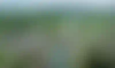 image for main block