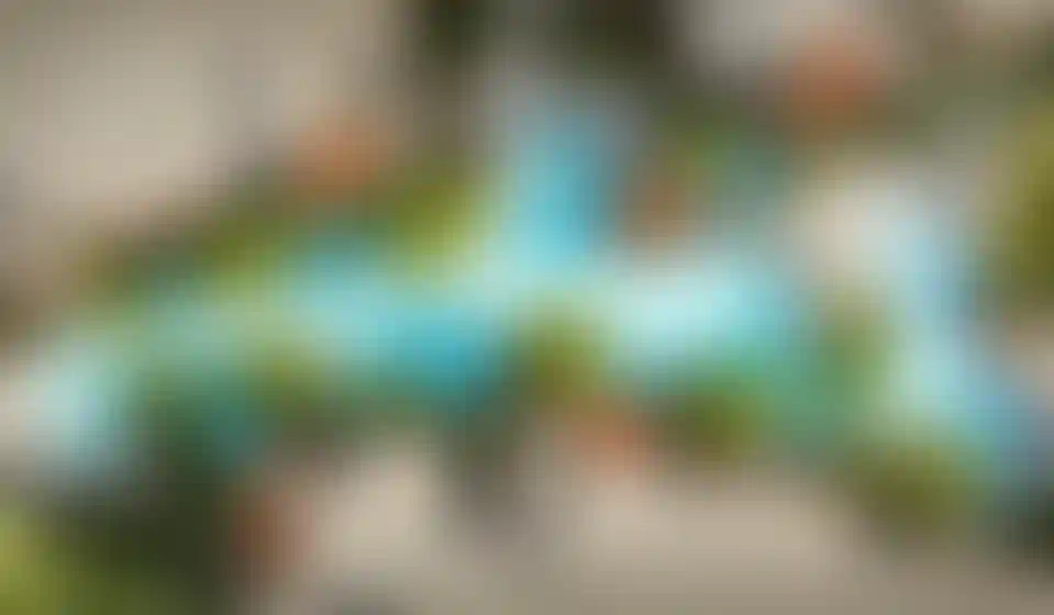 image for main block