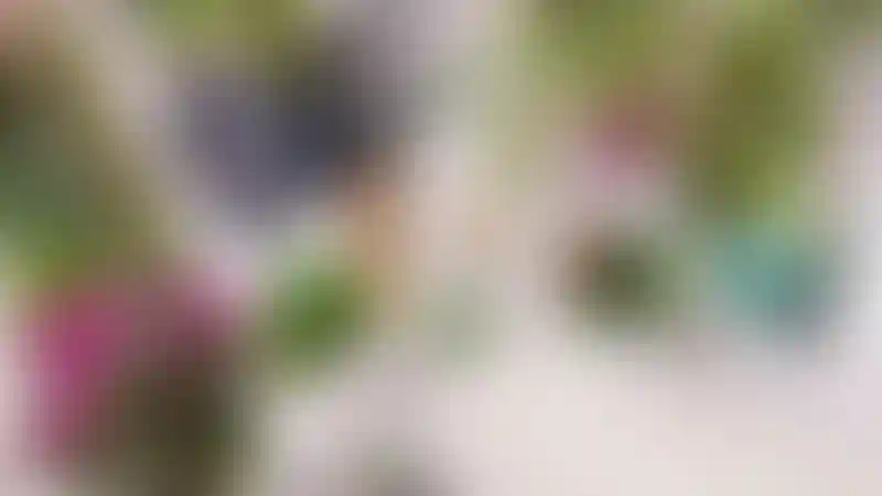 image for main block