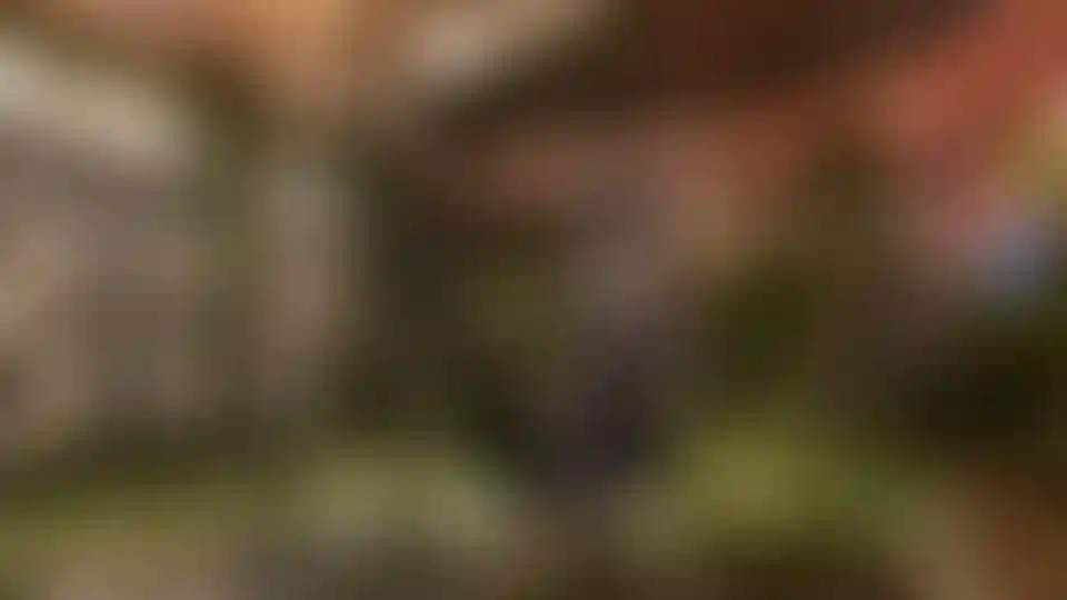 image for main block