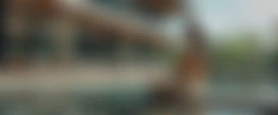 image for main block