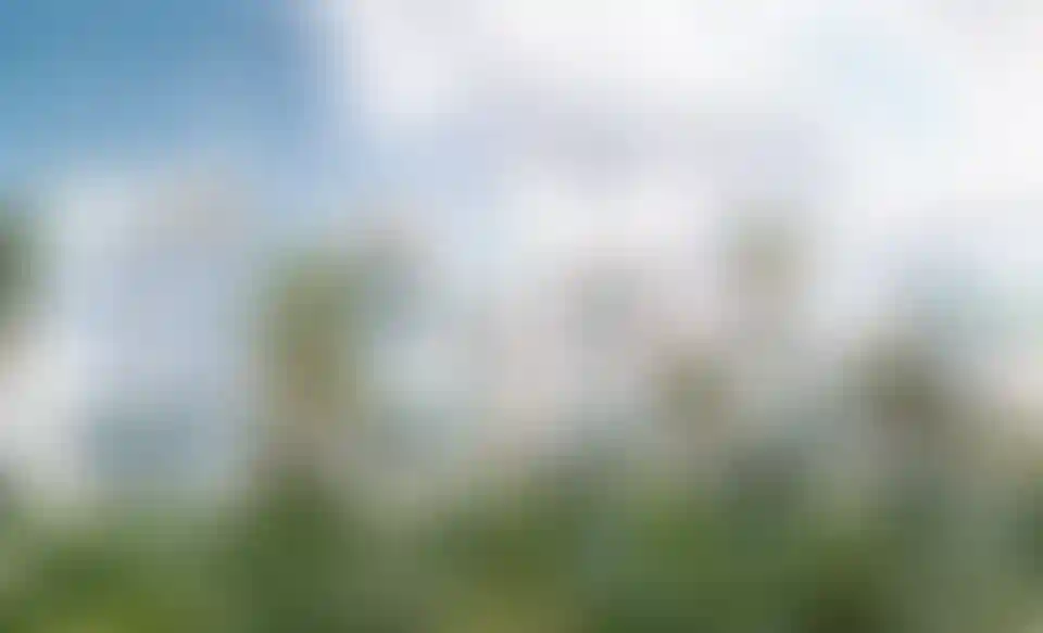 image for main block