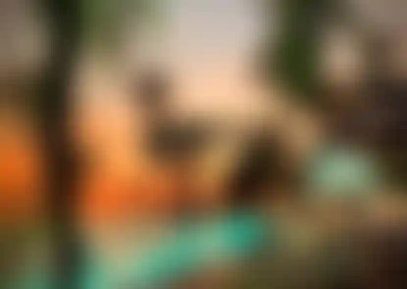 image for main block