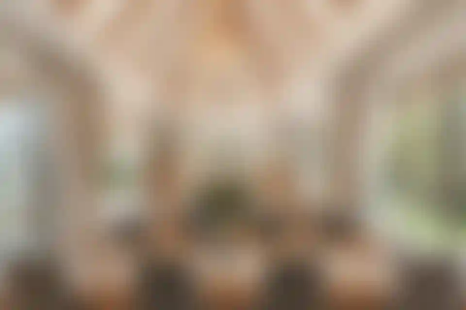 image for main block