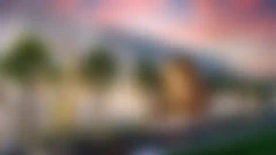 image for main block