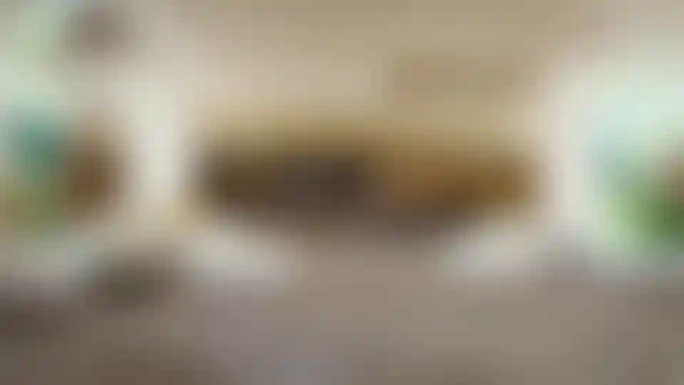 image for main block