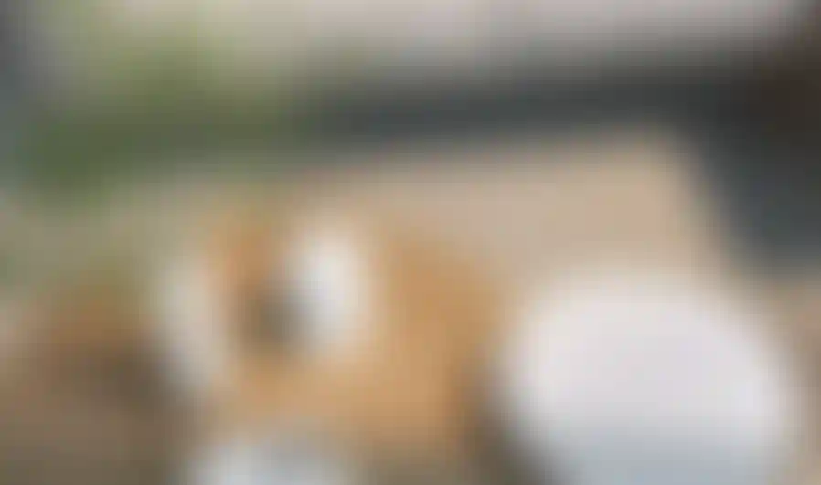 image for main block