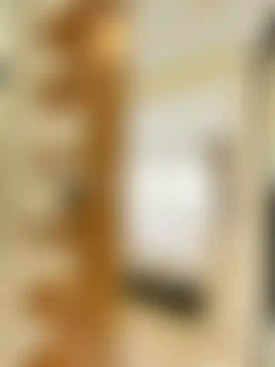 image for main block