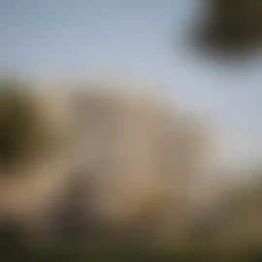 image for main block