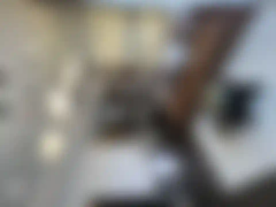 image for main block