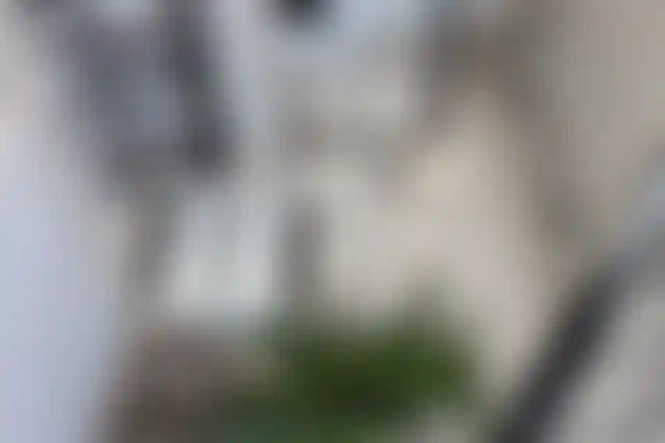 image for main block