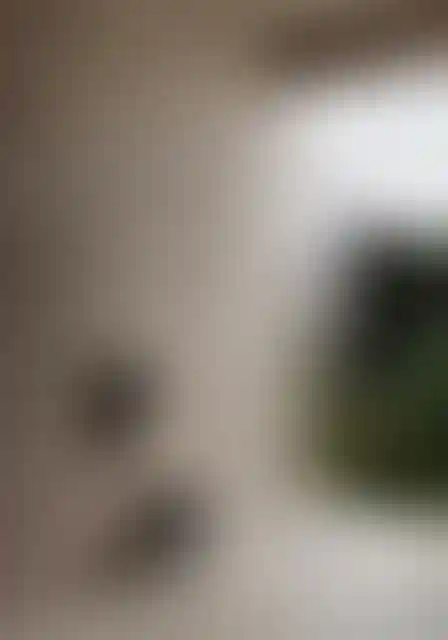 image for main block