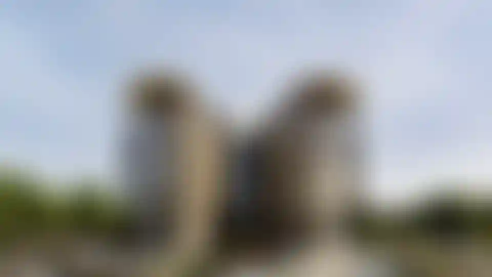 image for main block