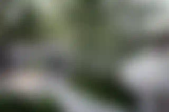 image for main block