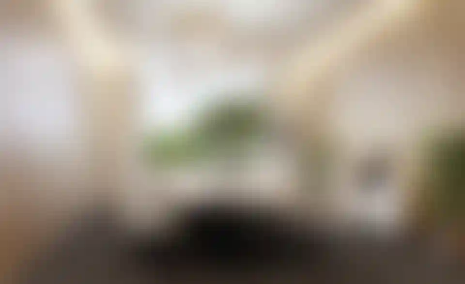 image for main block