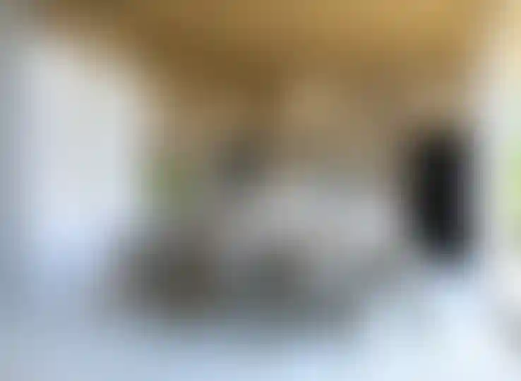 image for main block