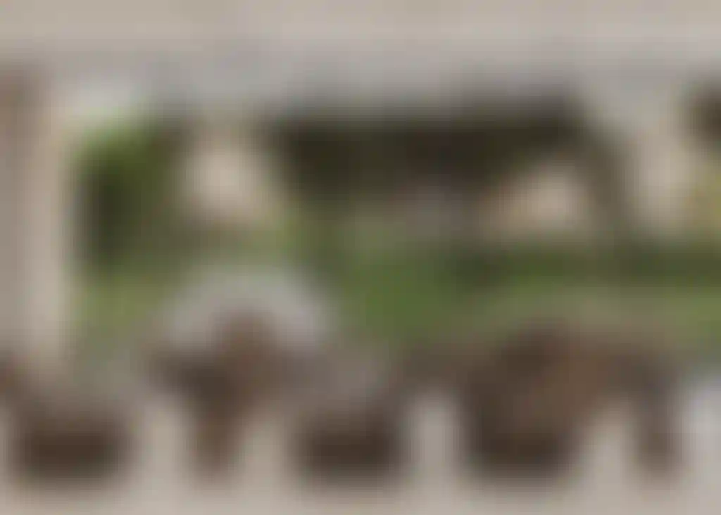 image for main block
