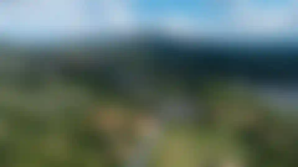 image for main block