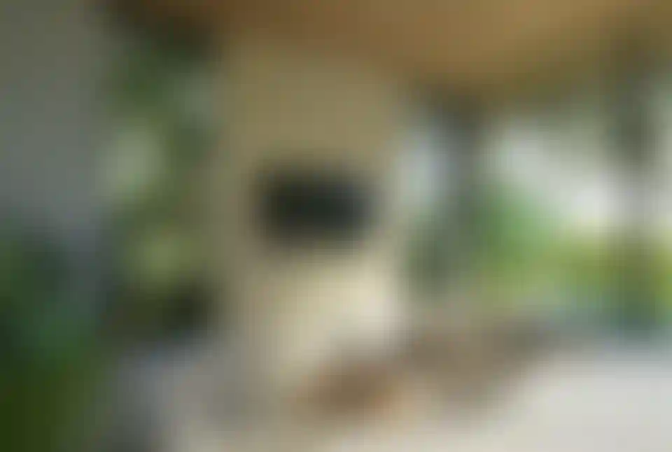 image for main block