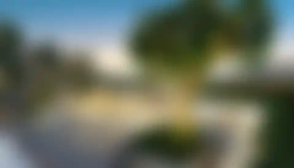 image for main block