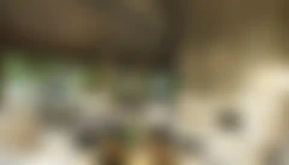 image for main block