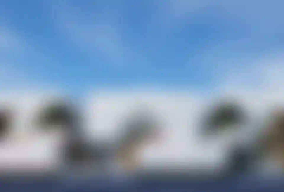 image for main block