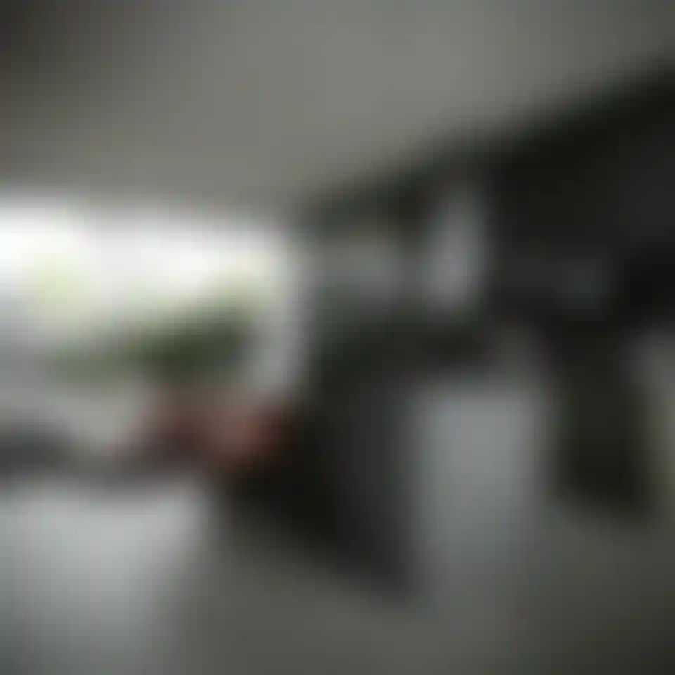 image for main block