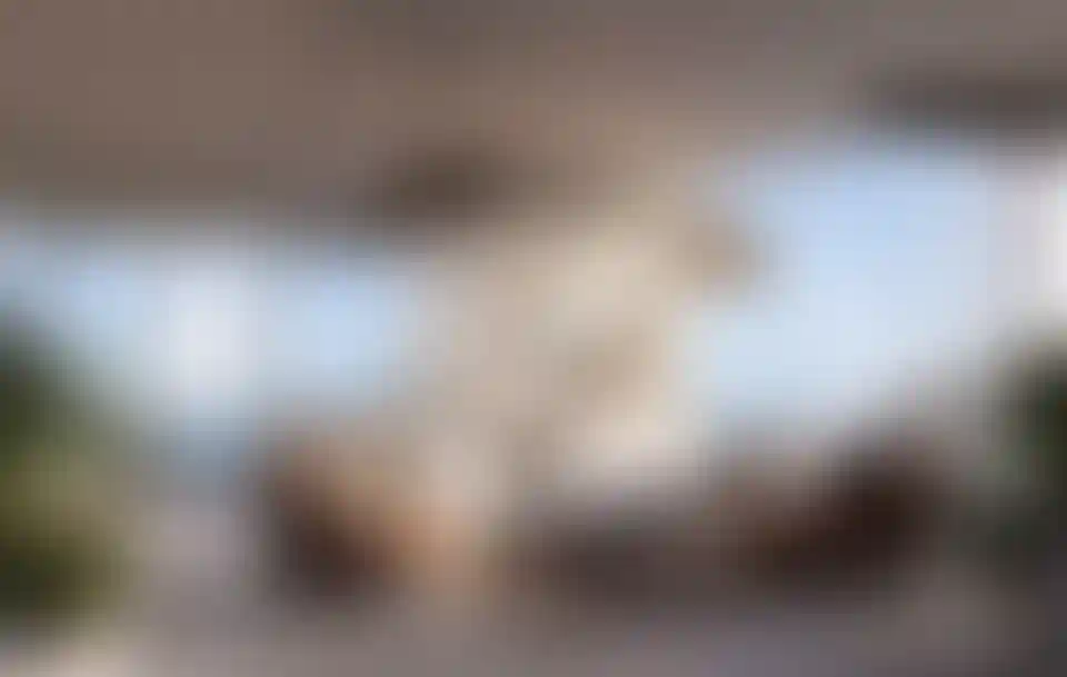 image for main block