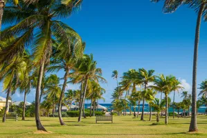 St. Kitts and Nevis Citizenship